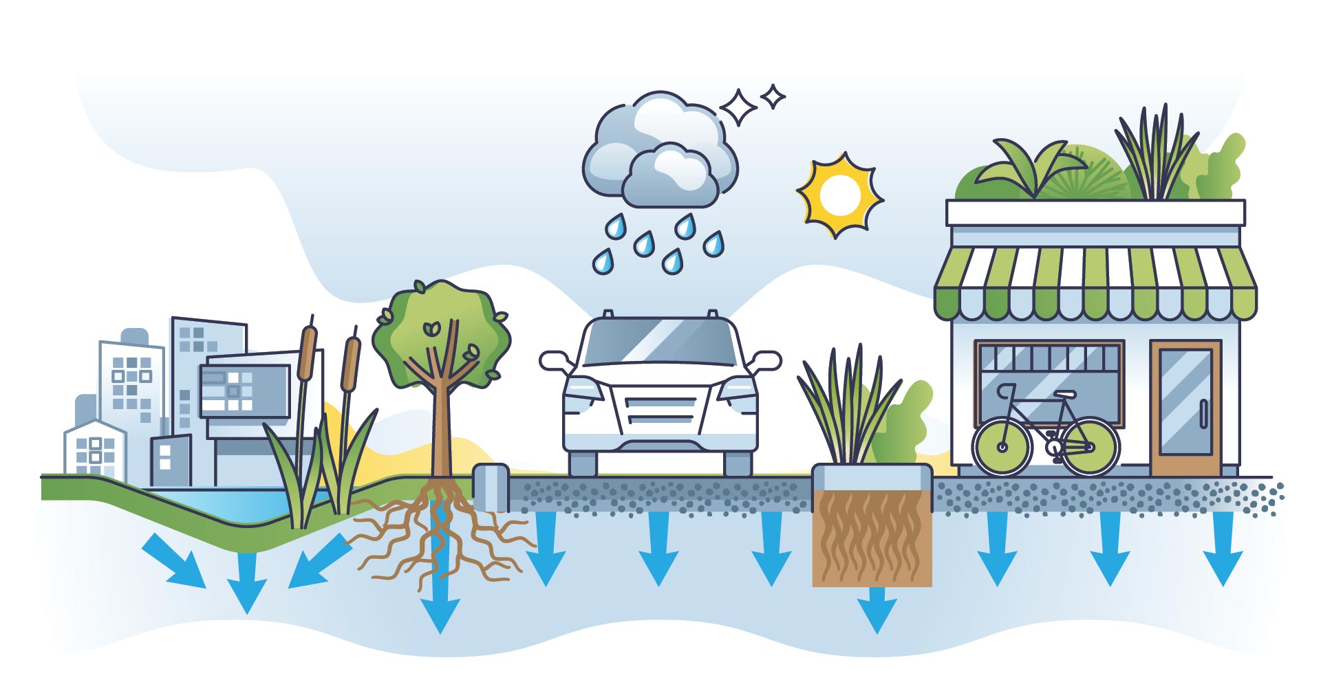infographic of green infrastructure with bioswale and water permeable paving and landscaping